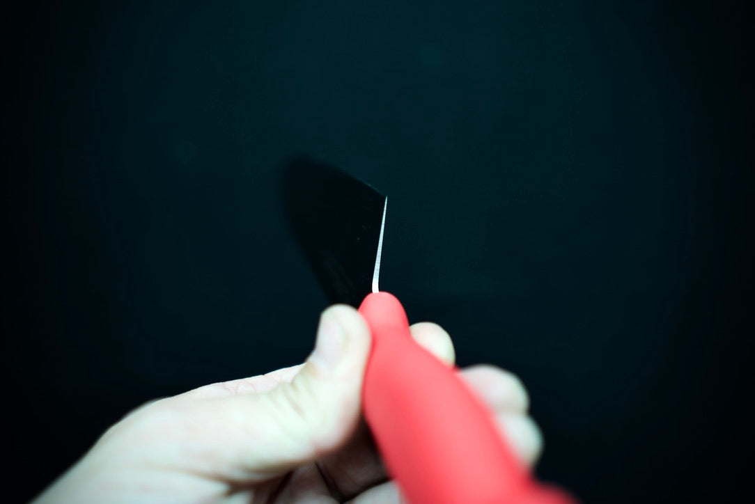 Tojiro Colour Series Gyuto 240mm - Cearmausas