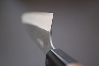 Nigara Hamono Kurouchi SG2 Kiritsuke 270mm - Cearmausas