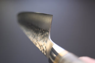 Takeshi Saji R2 Quince Handle Gyuto 240mm - Cearmausas