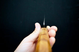 Shirasagi Kurouchi Sakimaru Yanagiba 300mm - Cearmausas