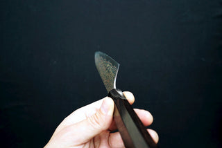 Aogami #2 Rainbow Damascus Gyuto 210mm - Cearmausas