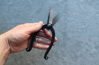 Japanese Bonsai Pruning Shears 165mm - Cearmausas