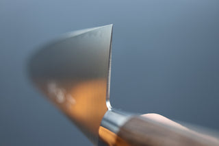 Sakai Kikumori SG2 Western Series Gyuto 240mm - Cearmausas