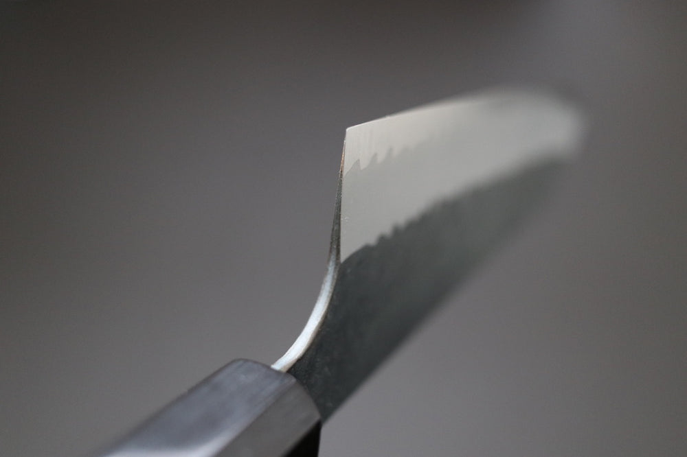 Nigara Hamono Kurouchi SG2 Kiritsuke 210mm - Cearmausas