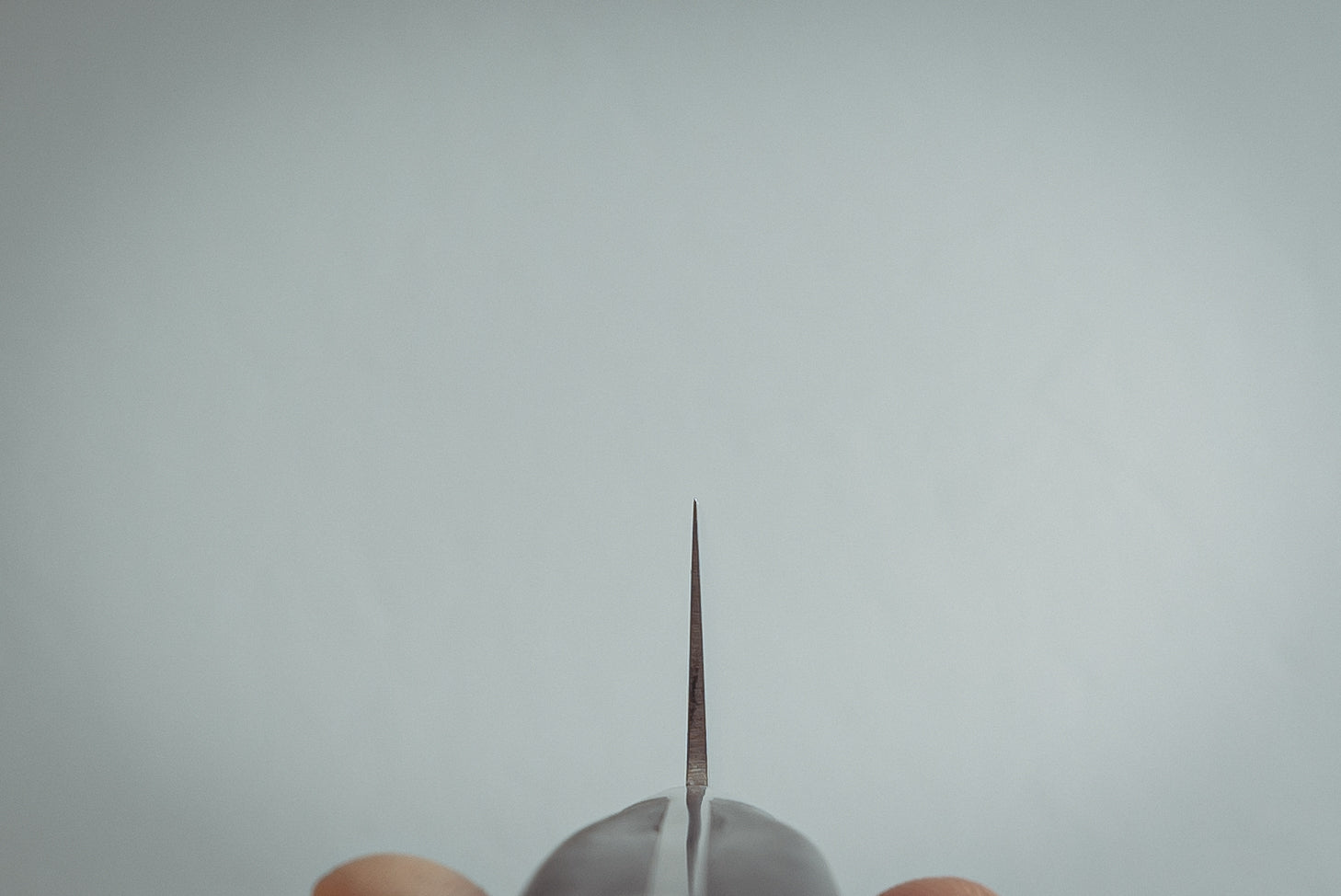 Sakai Takayuki INOX Sujihiki 270mm - Cearmausas