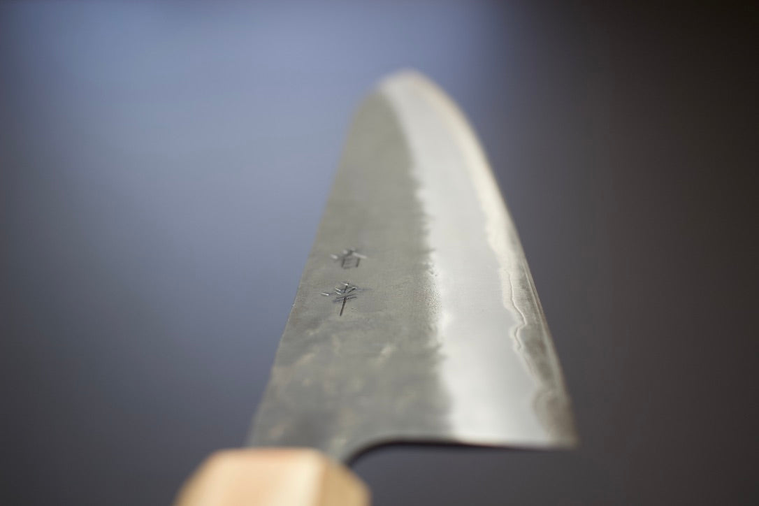 Haruyuki Shiso AS gyuto 240mm - Cearmausas